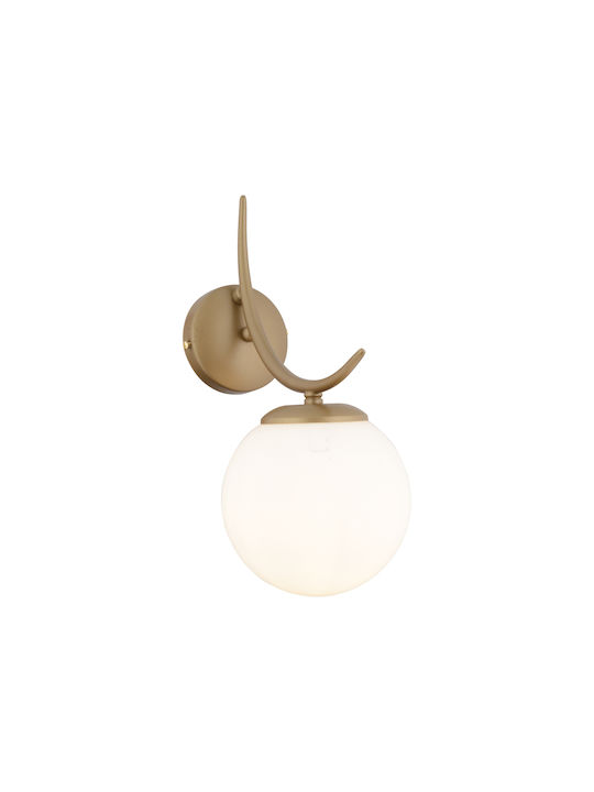 SteweHome Wall Lamp Brown