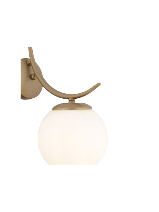 SteweHome Modern Wall Lamp Brown