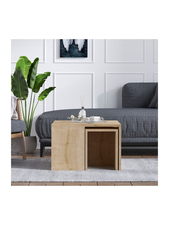 Rectangular Central Coffee Table Artoca Wooden Brown W60xL60xH60cm