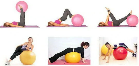 14172 Μπάλα Pilates 65cm σε Ασημί Χρώμα