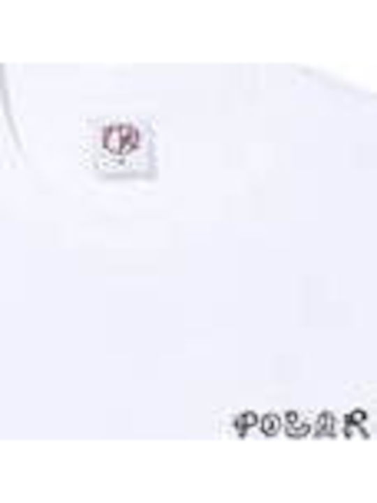 Polar