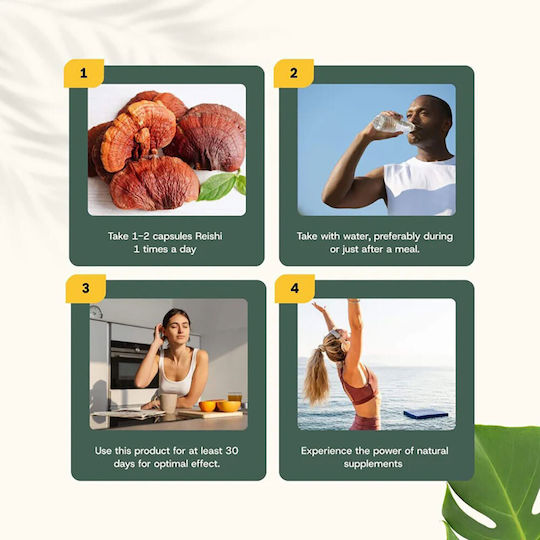 Cupplement Organic Reishi Extract 400mg 60 κάψουλες
