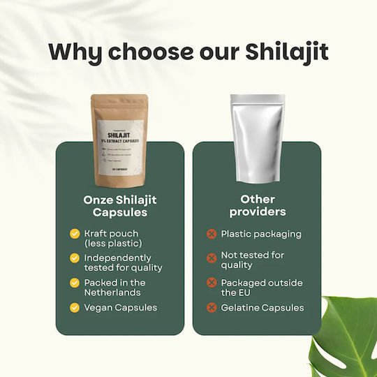 Cupplement Shilajit Extract 60 κάψουλες Natural