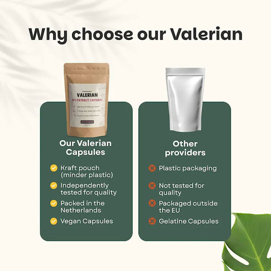 Cupplement Valerian Extract 400mg 60 κάψουλες