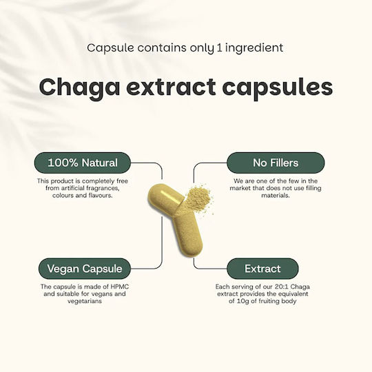 Cupplement Organic Chaga Extract 400mg 60 κάψουλες