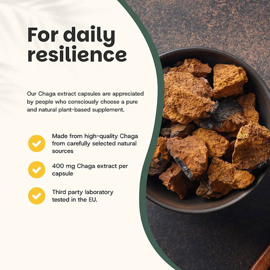 Cupplement Organic Chaga Extract 400mg 60 κάψουλες