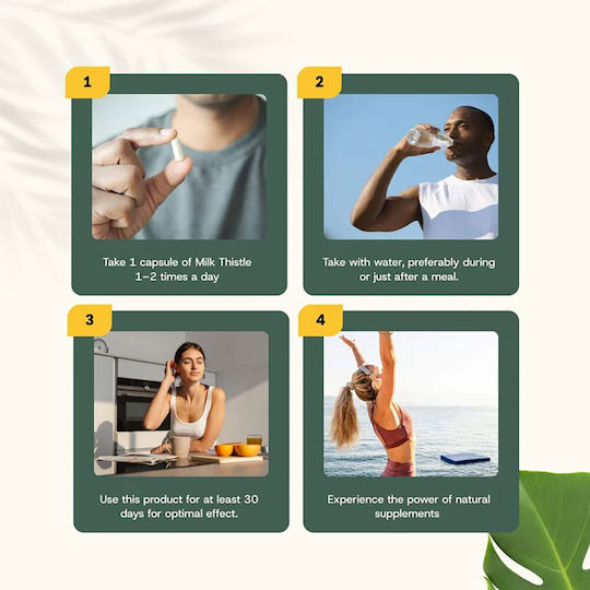 Cupplement Milk Thistle Extract 500mg 60 Capsules