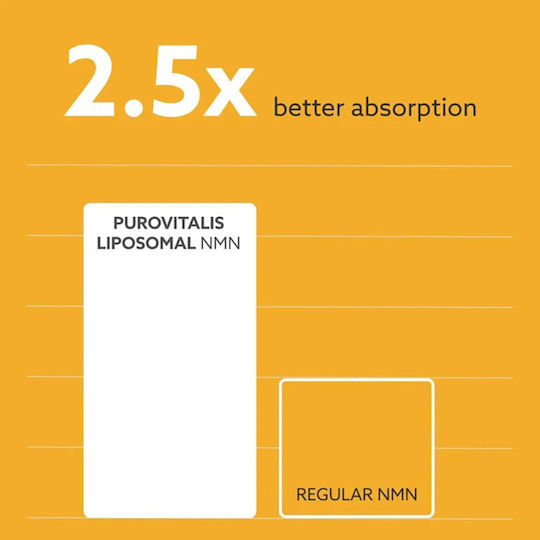 Purovitalis Liposomal NMN 125mg Ειδικό Συμπλήρωμα Διατροφής 60 φυτικές κάψουλες