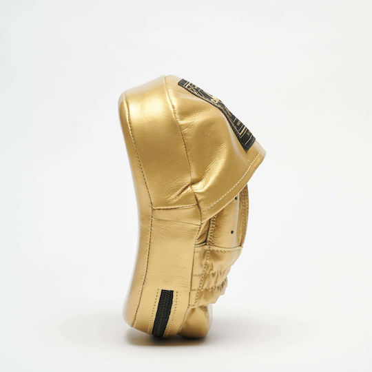 Leone Martial Arts Hand Targets 2 Pieces Gold