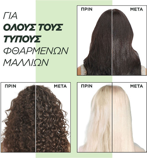 Garnier Fructis Goodbye Damage Σαμπουάν Αναδόμησης/Θρέψης για Ξηρά Μαλλιά Μαλλιά 400ml