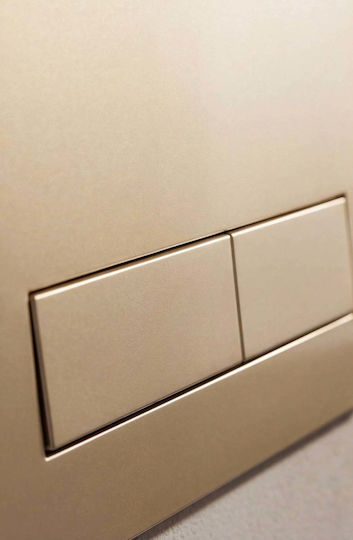 Naron Flush Plate for Dual Flush Toilets BRUSHED GOLD