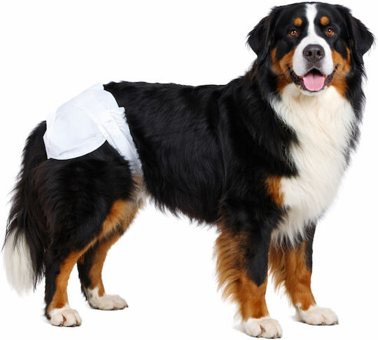 Clean Pets Βρακάκι Σκύλου για Ακράτεια Large 12τμχ