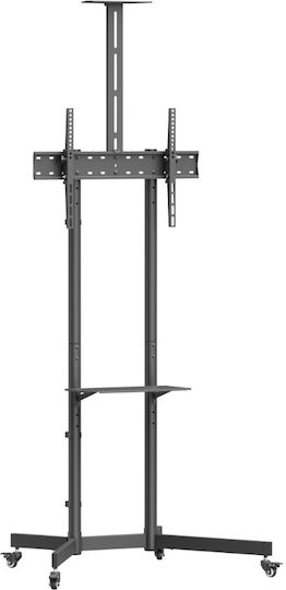 Brateck Βάση Τηλεόρασης Δαπέδου έως 70" και 45kg Μαύρο