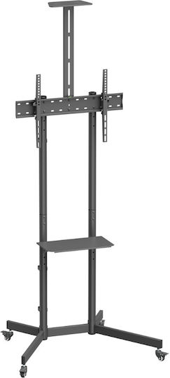 Brateck Βάση Τηλεόρασης Δαπέδου έως 70" και 45kg Μαύρο