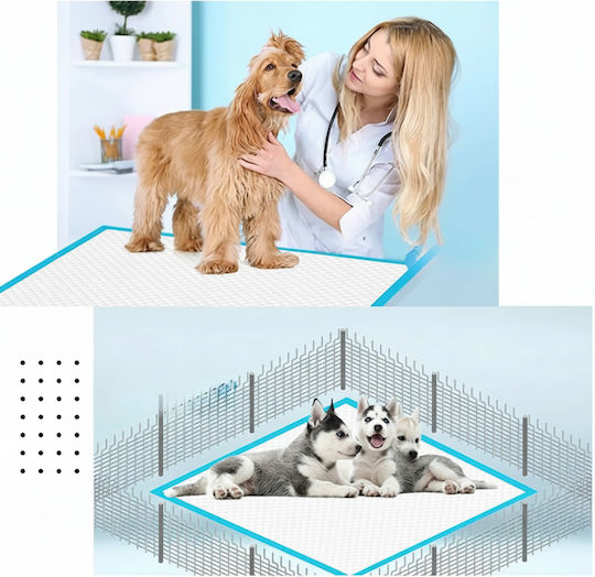 Dog Toilet 60x40cm