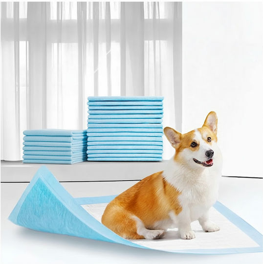 Dog Toilet 60x40cm