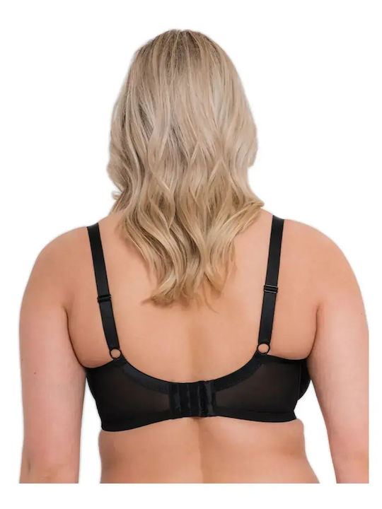 Curvy Kate Curvy Kate