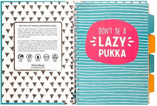 Pukka Pad Spiral Ruled B5 Notebook (Miscellaneous Designs)
