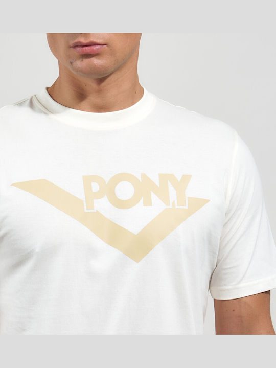Pony