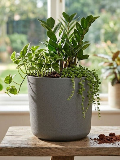 Harmony Alonissos Wooden Flower Pot Anthracite 22x22x20cm