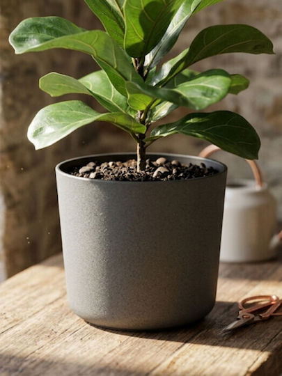 Harmony Alonissos Wooden Flower Pot Anthracite 22x22x20cm