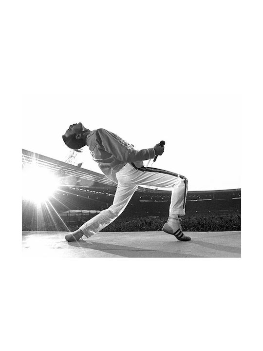 Music Poster Freddie Mercury Ms051 40cm X 50cm Premium Μαύρο Ξύλινο Κάδρο