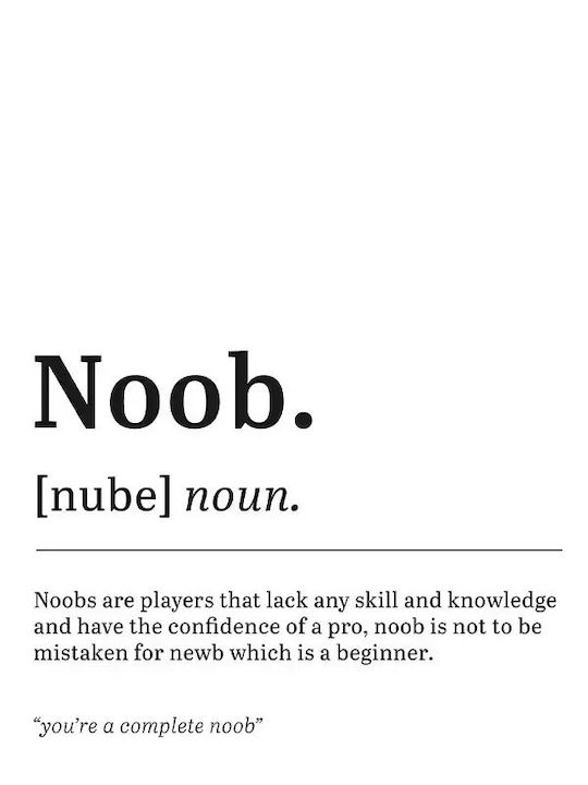 Gaming Poster Noob Gm132 40cm X 50cm Premium Μαύρο Ξύλινο Κάδρο