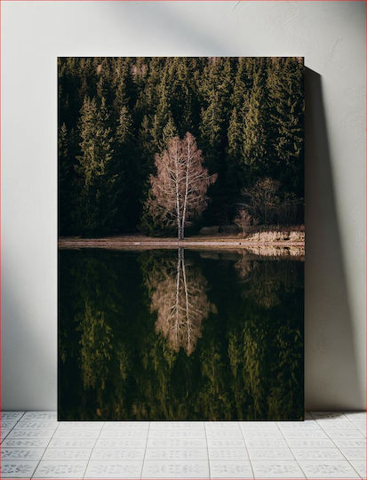 Solitary Tree Reflection By The Lake Einfache Gefaltete Ölgemälde in Canvas