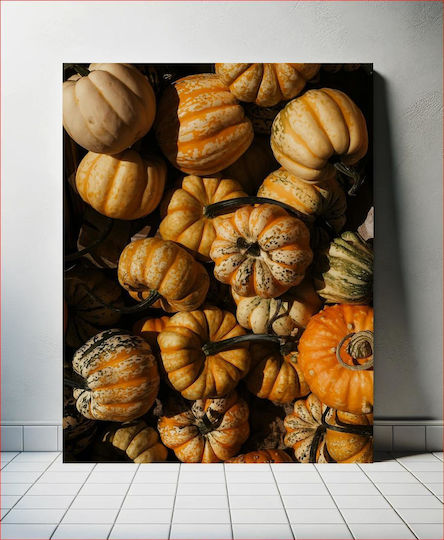 Πίνακας Colorful Gourds Πολύχρωμες Κολοκύθες 80x120 Πίνακας Colorful Gourds Πολύχρωμες Κολοκύθες 80x120
