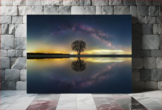 Tree Reflection Under Starry Sky Αντανάκλαση Δέντρου Κάτω Από Τον Έναστρο Ουρανό 1