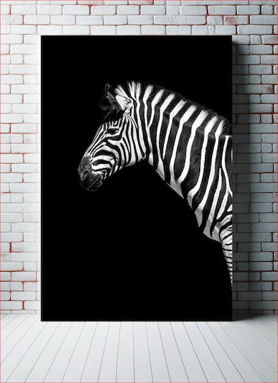 Zebra In Black And White Zebra In Black And White