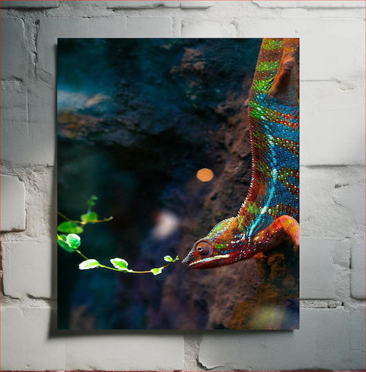 Colorful Chameleon Πολύχρωμος Χαμαιλέοντας σε Καμβά