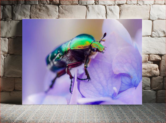 Πίνακας Colorful Beetle On Flower Πολύχρωμο Σκαθάρι Στο Λουλούδι 100x70