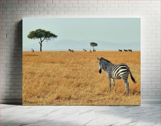 Painting Zebras In Savanna Zebras In Savanna 100x70