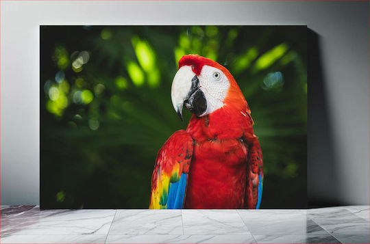 Панел Colorful Parrot In Nature Многоцветен Папагал В Природата 150x100