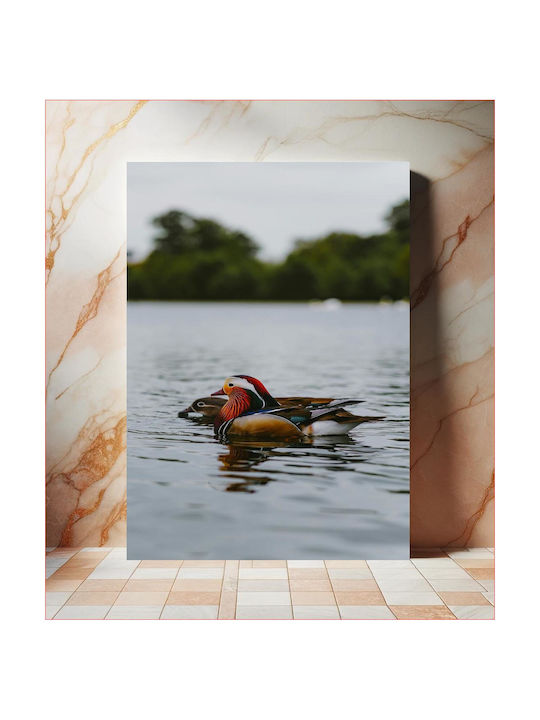 iLovePrints Gemälde Bunte Enten Auf Einem See 70x100