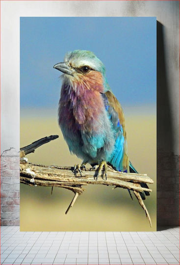 Πίνακας Colorful Bird On A Branch Πολύχρωμο Πουλί Ένα Κλαδί 100x150 Πίνακας Colorful Bird On A Branch Πολύχρωμο Πουλί Ένα Κλαδί 100x150