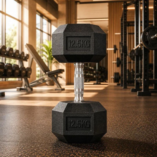 Haltere Din Furtun 1 x 12.5kg