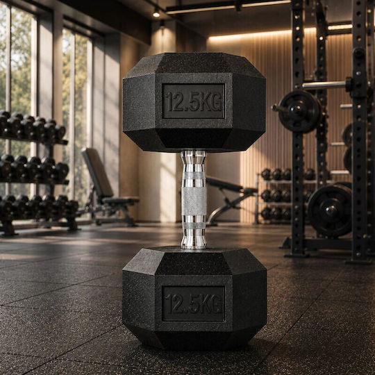 Haltere Din Furtun 1 x 12.5kg