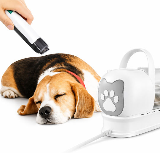 Aster Star Electric Dog Brush for Hair Cleaning White