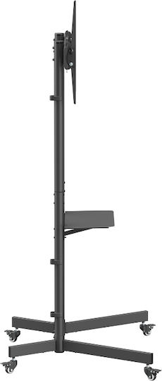 Akai Proffesional ST3670 Fernsehhalterung Boden bis 70" und 45kg