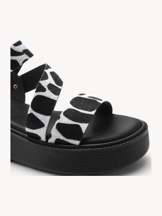 Black Cow Print Flatforms Soft Sole Gold Buckle