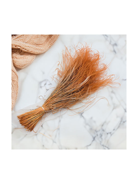 Dried Stipa Feather Grass Stipa Pennata Mustard Yellow