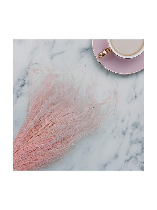 Dried Stipa Feather Grass Stipa Pennata Pink