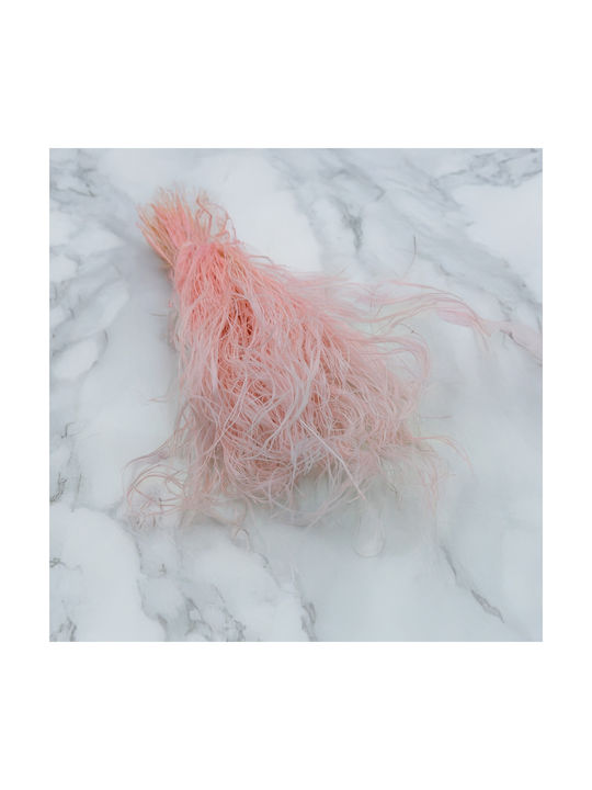 Dried Stipa Feather Grass Stipa Pennata Pink