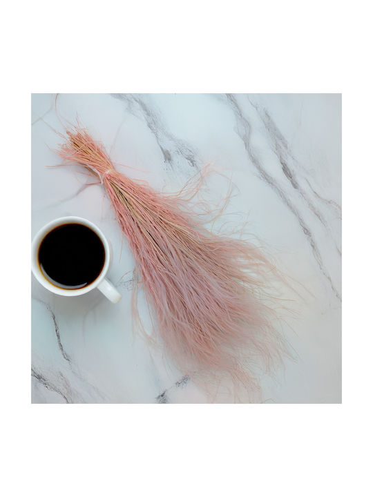 Изсушена Переста Трева Stipa Pennata Heather