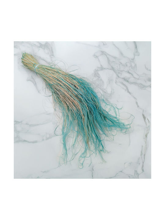 Dried Stipa Feather Grass Stipa Pennata Mint