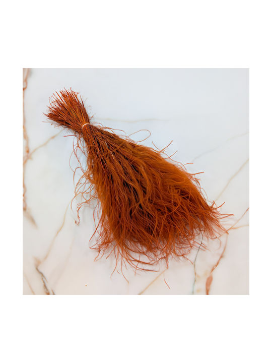 Dried Stipa Feather Grass Stipa Pennata Dark Terracotta
