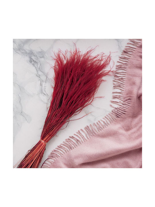 Dried Stipa Feather Grass Stipa Pennata Burgundy
