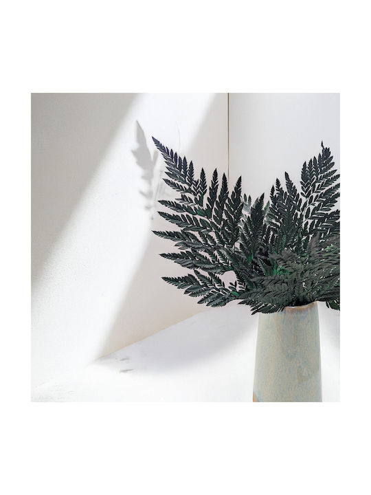 Stabilized Fern Leathery